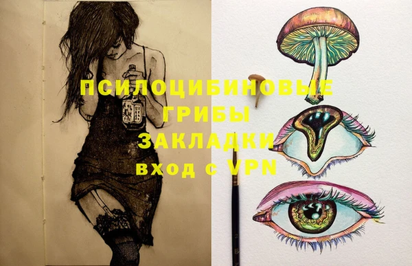 тгк Алексин