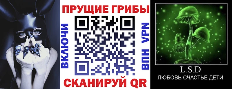 Галлюциногенные грибы GOLDEN TEACHER  Тюкалинск 